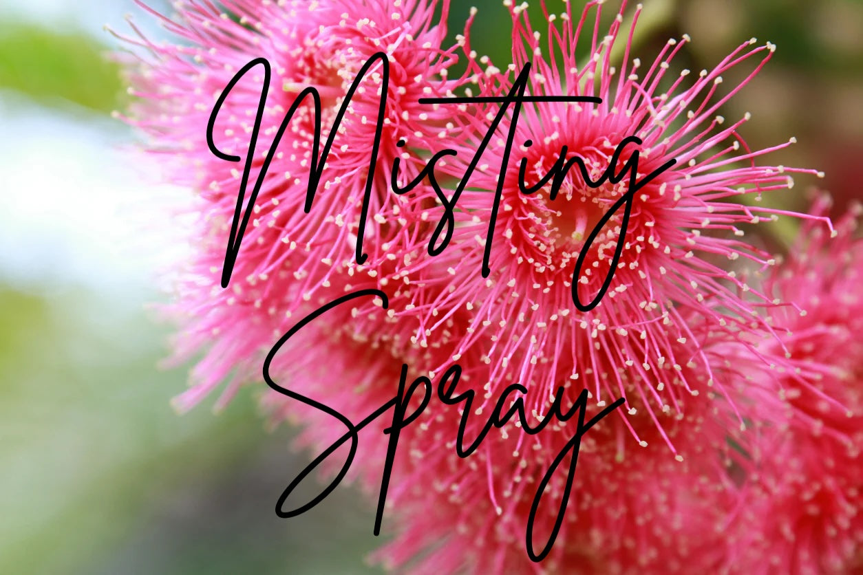 I am Loved - Misting Spray