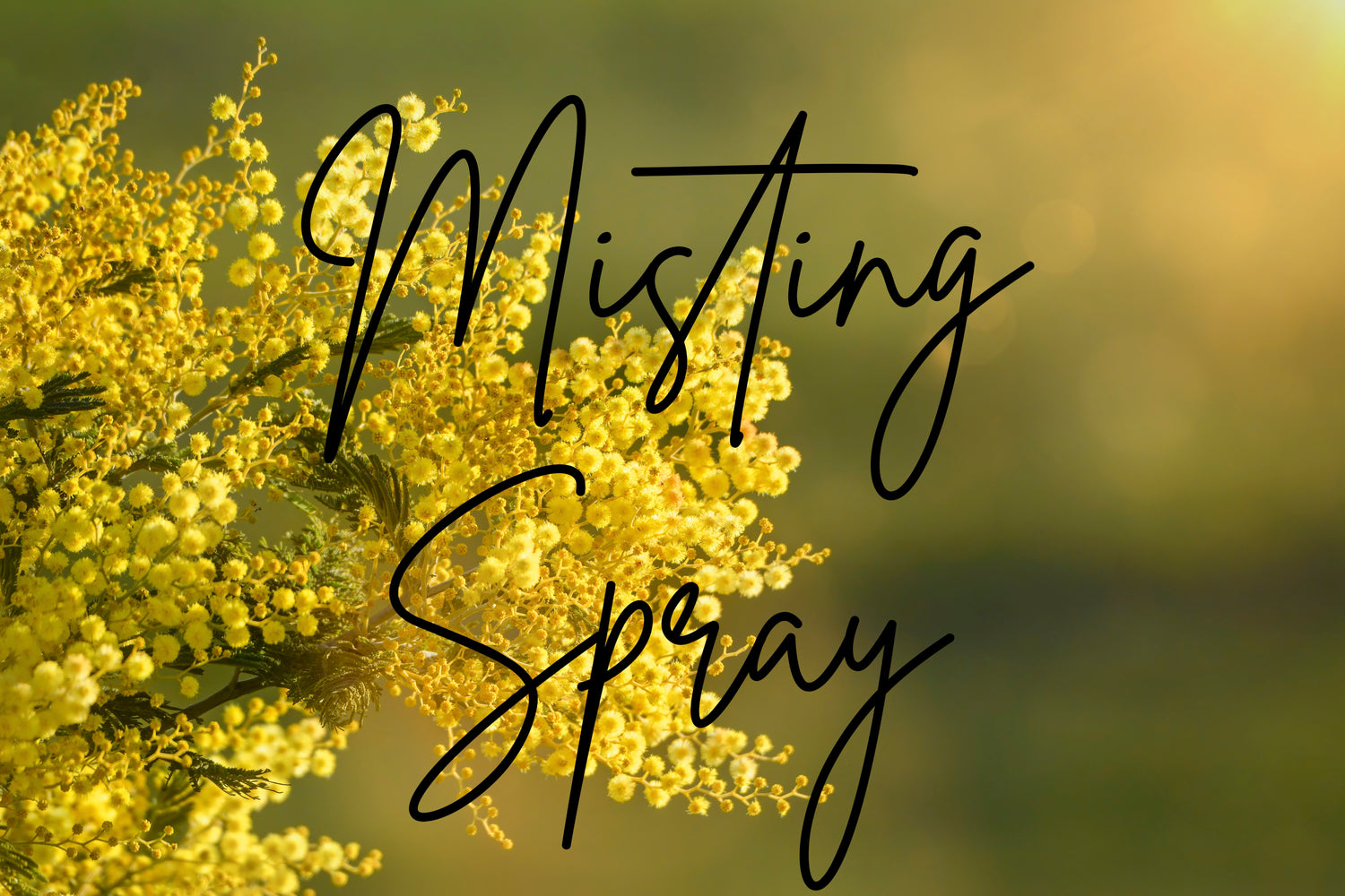 i am Powerful - Misting Spray