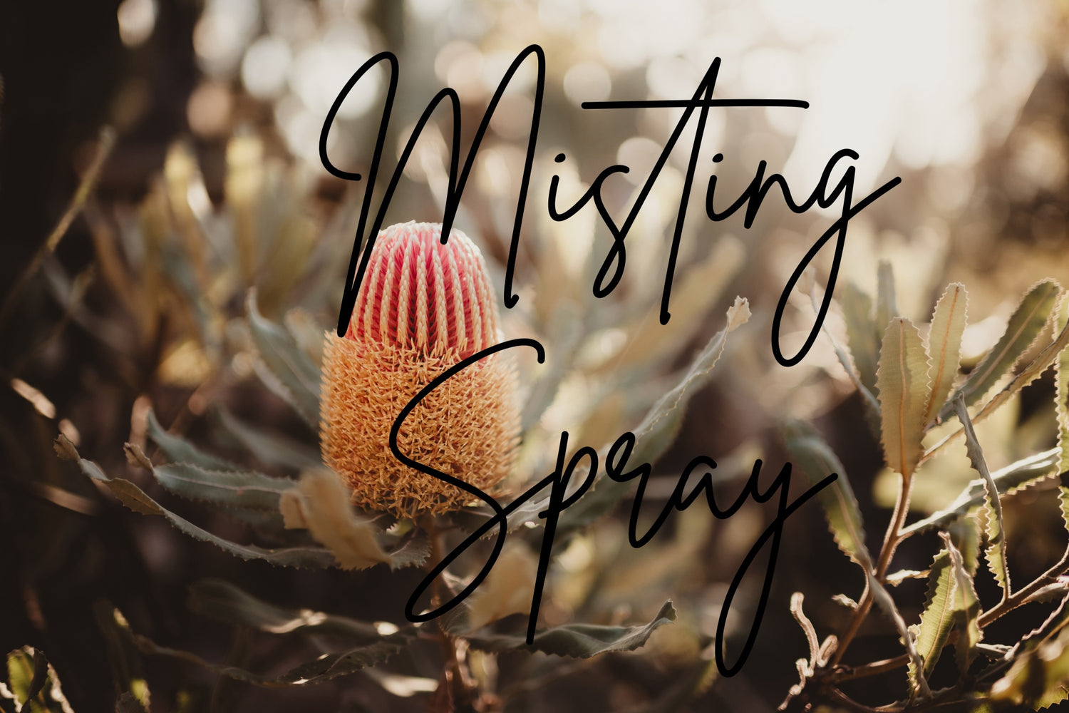 I am Grounded - Misting Spray